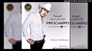 Benito  Kanales Corridos Nuevos 2015 [upl. by Norah692]