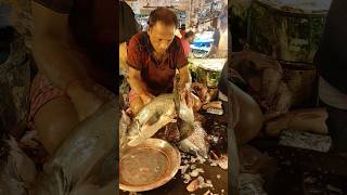 9 Kg Big Bowell fish cutting 😱😱fishcutting musica [upl. by Kinghorn]