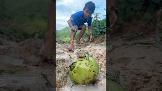 Survival Skills SIMPLE and USEFUL with winter melon bushcraft camping outdoors [upl. by Ahtibat521]