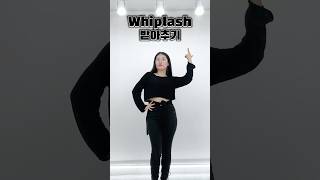 댓글에 있는 동작들로 만든 Whiplash 안무 [upl. by Adlez676]