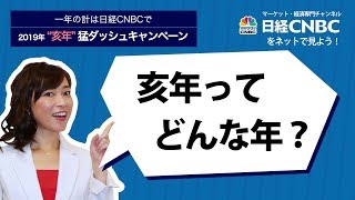 一年の計は日経CNBCで！2019年“亥年”猛ダッシュキャンペーン [upl. by Bren]