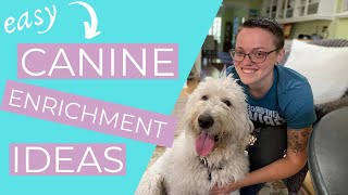 Enrichment for Dogs Easy Dog Enrichment Ideas  THE KIND CANINE [upl. by Essilrahc441]