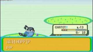 Pokemon Naranja Walkthrough Part 2 Chatot [upl. by Ycniuq]