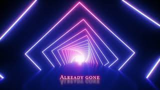 Already Gone  Dualarity Lyric Video [upl. by Yme]