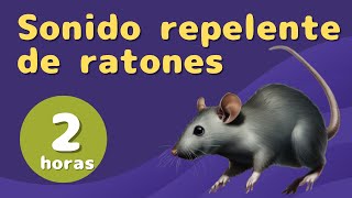 Ruidos Repelentes para Ratones y Ratas Sonidos de alta frecuencia No compatible con iPhone [upl. by Lombard761]