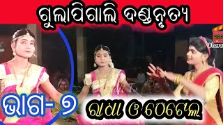 Gulapigali danda nrutya  Samalpuri danda  Mixture danda part 7  Bharati tv [upl. by Niknar588]