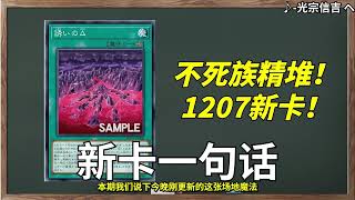 精堆5星以上不死族！不死族新场地！1207不死族新卡预告！【新卡一句话215】 [upl. by Marron531]