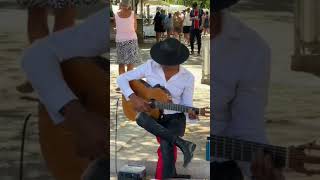 Live Guitar In the Street 02 [upl. by Judith433]