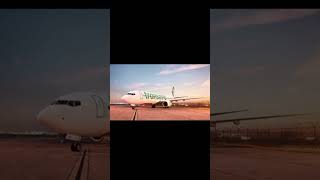 transavia edit aviation transavia edit poop capcut [upl. by Rempe412]