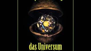 Das Universum in der Nussschale  Hörbuch [upl. by Solracesoj224]