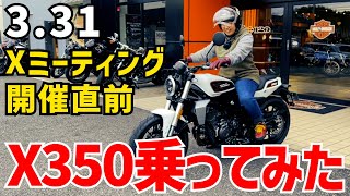 中免ハーレーX350乗ってみた‼️3月31日は幕張店でXミーティング開催‼️harleydavidson ハーレーダビッドソンx350 [upl. by Netloc283]