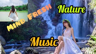 Beautiful Hindi song nature songs hindi songs music [upl. by Nayra]