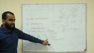 BILIARY PATHOLOGY CHOLELITHIASIS VS CHOLECYSTITIS VS CHOLEDOCHOLITHIASIS VS CHOLANGITIS [upl. by Grogan]