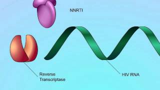 Mechanisms of Action of NonNucleoside Reverse Transcriptase Inhibitors NNRTIs [upl. by Elysia]