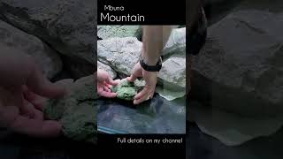 👆👆👆👆👆 click the link Mbuna Mountain Aquascape Tutorial [upl. by Annerol]