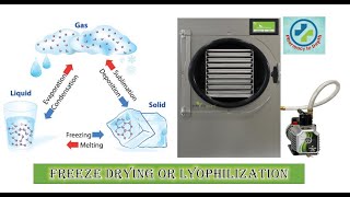 Freeze drying or Lyophilization in depth [upl. by Jessen]