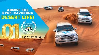 Dubai Premium Red Dunes amp Camel Safari with BBQ at Al Khayma Camp  OceanAirTravels [upl. by Jenni26]