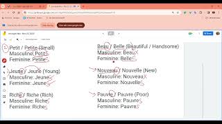 Les Adjectives French Adjectives A1 [upl. by Rouvin]