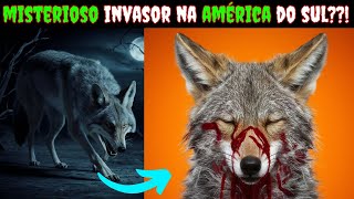 O INVASOR SILENCIOSO Chegou na AMERICA DO SUL E Agora [upl. by Keating]