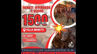 TRADICION GANADERA REMATE CERES GORDO 2002 [upl. by Assedo520]