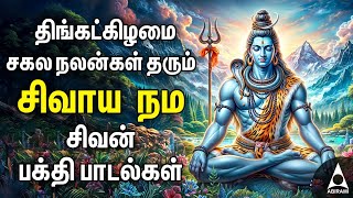 Monday Powerful Sivalaya Dharishanam  Sivan Best Bakthi Padalgal [upl. by Millhon]