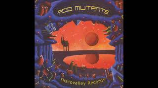 VA  Acid Mutants 2004 Full Album [upl. by Drucilla]