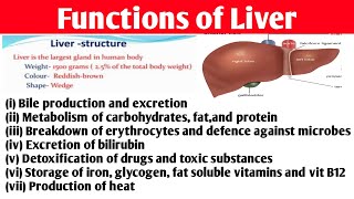 Liver  Function of Liver  physiology of liver  easy to learn short trick 👍 [upl. by Shifrah]