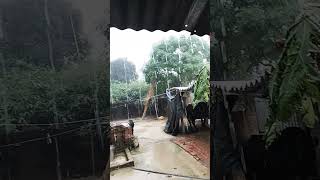 rim jhim songsong shorts love barish [upl. by Yeliak]