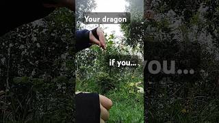 Your dragon if you [upl. by Ronica]