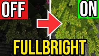 How To Get FULL BRIGHT For Minecraft Bedrock  MAX BRIGHTNESSPS45 Xbox MCPE Switch [upl. by Derte523]