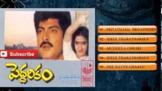 PeddarikamAudio Songs JukeboxJagapati BabuSukanyaRajKotiA M Rathnam [upl. by Lateh]