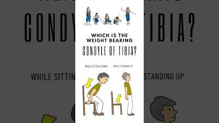 Which is the weight bearing condyle of tibia While planning to sit down and stand up shorts [upl. by Poul]