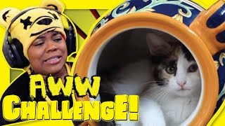 Cats Are Kryptonite  Try Not To Aww  AyChristene Reacts [upl. by Melac]