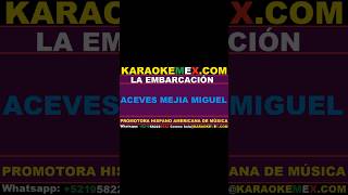 karaoke david reynoso  la embarcacion karaokemex [upl. by Eiduj863]