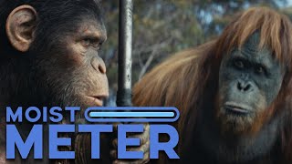 Moist Meter  Kingdom of the Planet of the Apes [upl. by Warfourd]