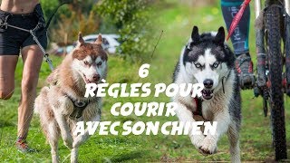 6 règles pour courir avec son chien [upl. by Aelanna865]