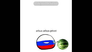 Arbus arbus privet [upl. by Treblihp]