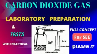 Lab Preparation of Carbon Dioxide Gas  SEE [upl. by Petronella]