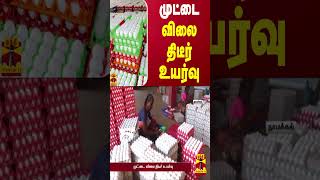 முட்டை விலை திடீர் உயர்வு  Egg Price Hike  Thanthi TV [upl. by Masuh]