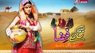 Subh Ki Fiza  24 Jan 2017  Aplus  C4L1 [upl. by Leigha]