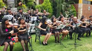 Carnaval ayacuchano 2019 con los mejores violinistas en Canto Andino [upl. by Atteuqram]