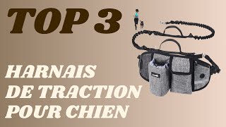 Top 3  Meilleur Harnais De Traction Pour Chien 2024 [upl. by Trainor364]