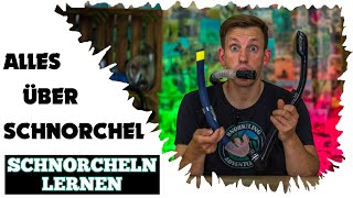 Alles was du über SCHNORCHEL wissen musst • Schnorcheln lernen [upl. by Hukill785]