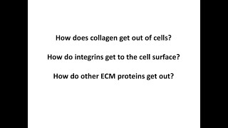 MolMed Zellbiologie3 Erkrankungen Teis SS202 [upl. by Nilam90]