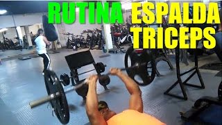 Rutina de espalda y triceps [upl. by Etnohs]