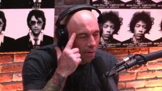 Joe Rogan and quotLone Survivorquot opinions on Jocko Willink and David Goggins 1622 [upl. by Burroughs]