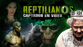 Reptilianos Captados en Video [upl. by Adnohsel136]