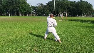 Taikyuko Nidan  Shotokan Kata with Slow Demo  highlights [upl. by Pat]