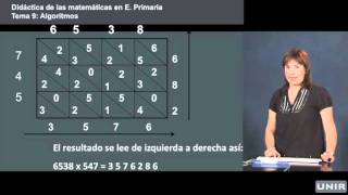 Didáctica de las Matemáticas en Primaria Métodos alternativos para multiplicar  UNIReducación [upl. by Aracaj]