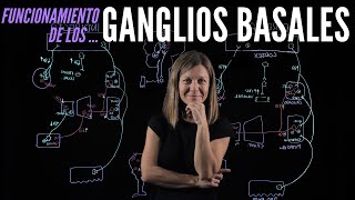 Funcionamiento de los ganglios basales en el control del movimiento [upl. by Htinek]